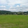 2011-07-27-723