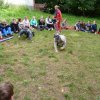 2011-07-29-802