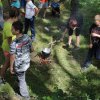 Škola Čar a Kouzel v Bradavičkách