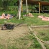 img00008