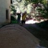 IMG_20160826_155605