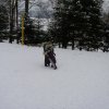20130218_d065